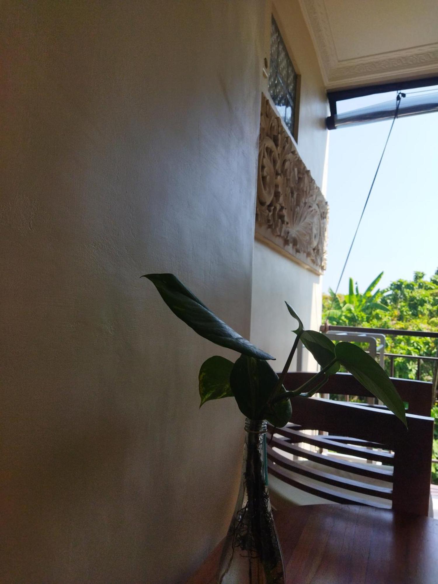 乌布 瓦维基之家旅馆酒店 外观 照片