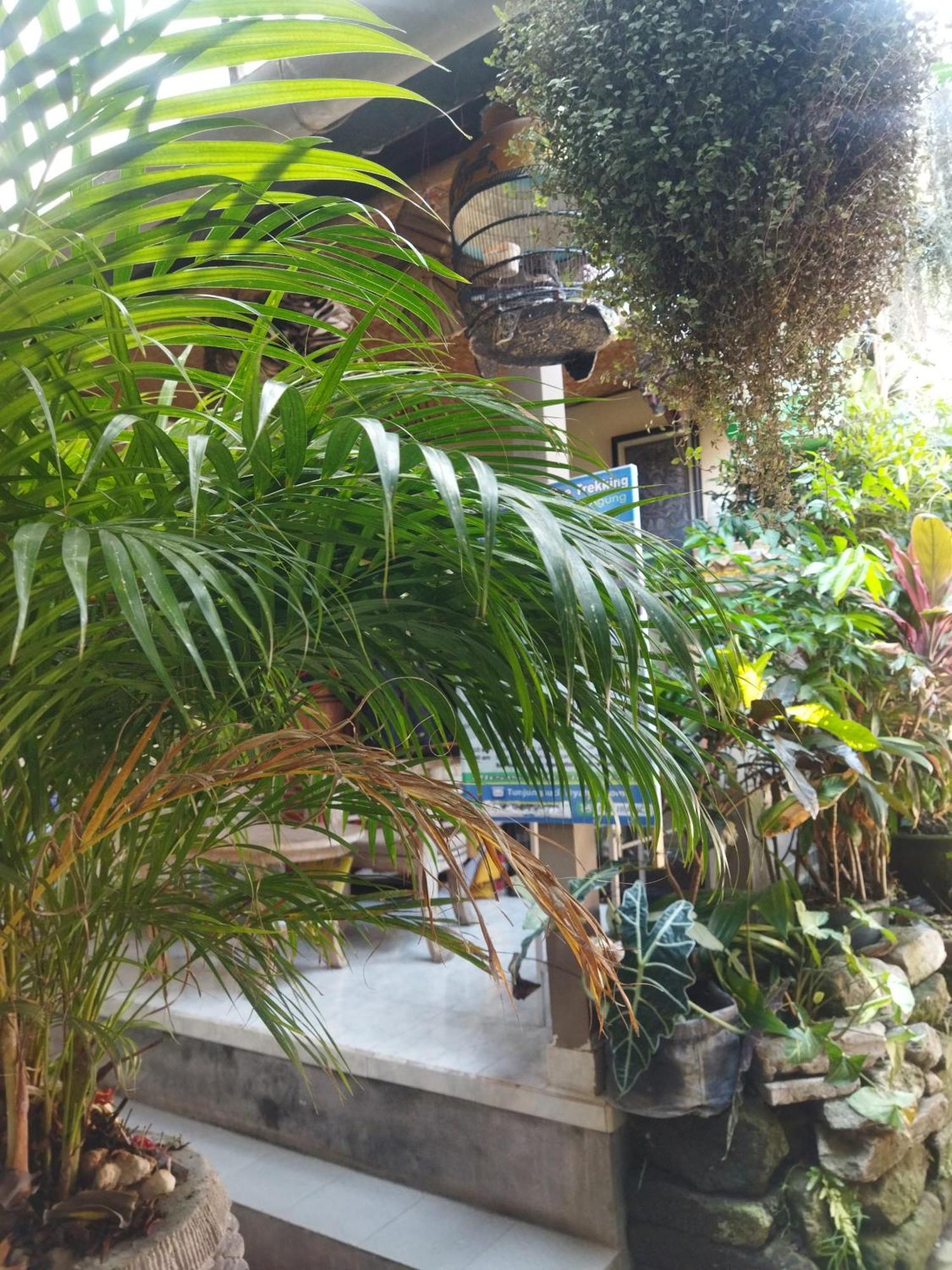 乌布 瓦维基之家旅馆酒店 外观 照片